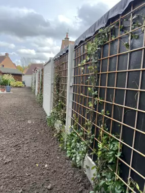 Jardin_Peters_afsluiting_riekende_beplanting_5 - 