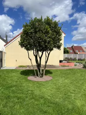 Jardin_Peters_verharding_terras_delcona_deel1_13 - 