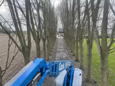 Jardin_Peters_snoeien_bomen_deel3_4 - 