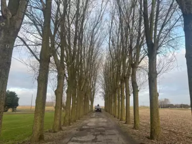 Jardin_Peters_snoeien_bomen_deel3_2 - 