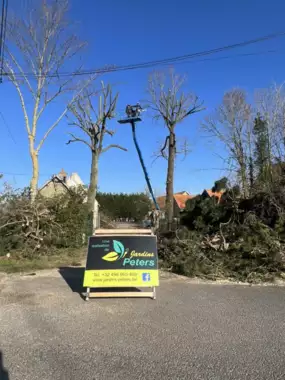 Jardin_Peters_snoeien_bomen_deel1_5 - 