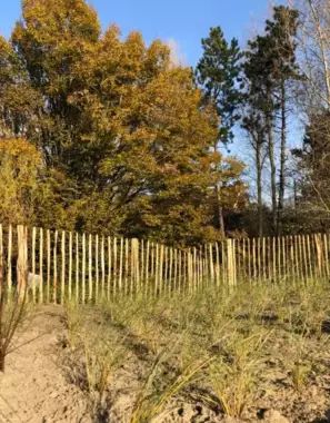 tuinen-jardins-peters-18 - 