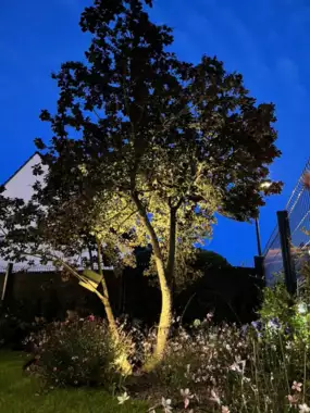 Jardin_Peters_led_verlichting_27 - 