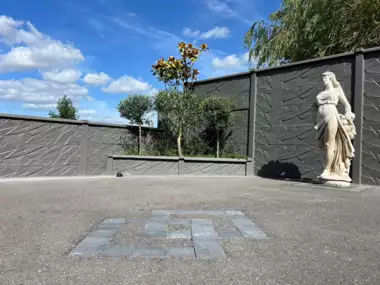 462712852_1083356390461774_4533092235759619875_n - 