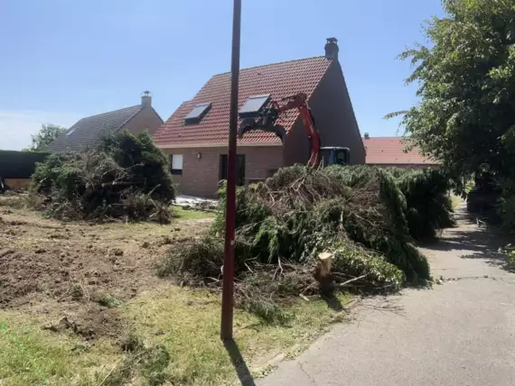 Jardin_Peters_lava_steentjes_deel2_3 - Pierres de lave entre les plantations