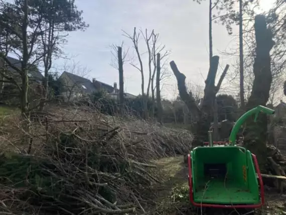 tuinen-jardins-peters-54 - Versnipperen van takken