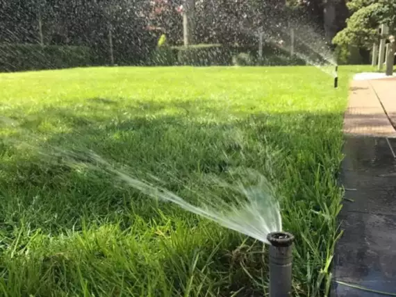 tuinen-jardins-peters-84 - Plaatsen van automatische beregening