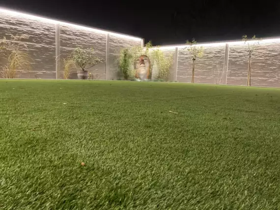 tuinen-jardins-peters-99 - Plaatsen van kunstgras